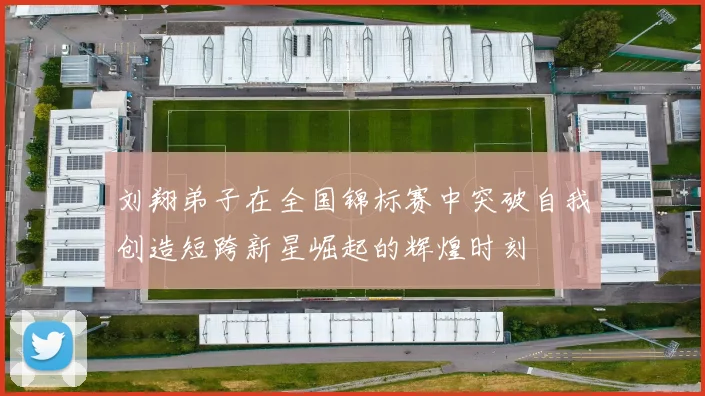 刘翔弟子在全国锦标赛中突破自我创造短跨新星崛起的辉煌时刻