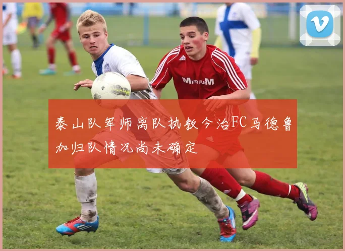 泰山队军师离队执教今治FC马德鲁加归队情况尚未确定