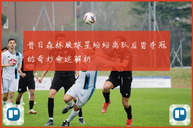 昔日森林狼球星纷纷离队后皆夺冠的奇妙命运解析